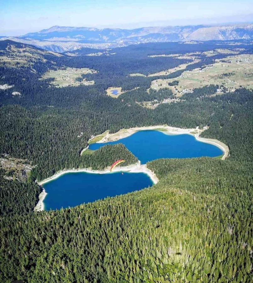 North Forest Žabljak Eksteriør bilde